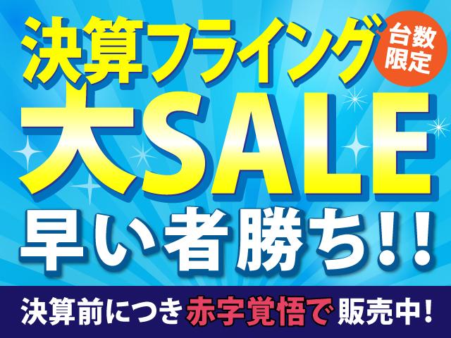 ハイウェイスター　Ｓキー　ＥＴＣ　ナビ　Ｂカメラ　両パワスラ(2枚目)