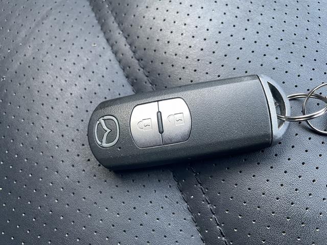 アテンザワゴン ＸＤ　Ｌパッケージ　Ｓキー　ナビ　Ｂｌｕｅｔｏｏｔｈ　Ｂカメラ　フォグ　アルミ（22枚目）