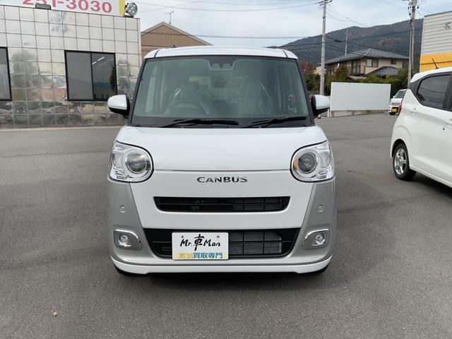 ムーヴキャンバス ストライプスG(2枚目)