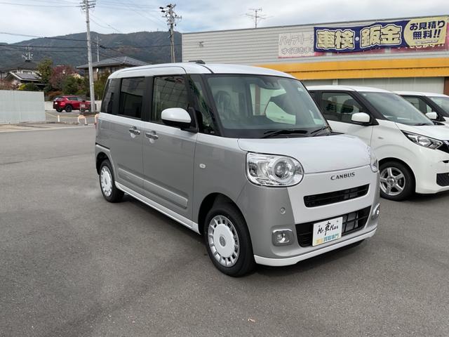 ムーヴキャンバス ストライプスG(3枚目)