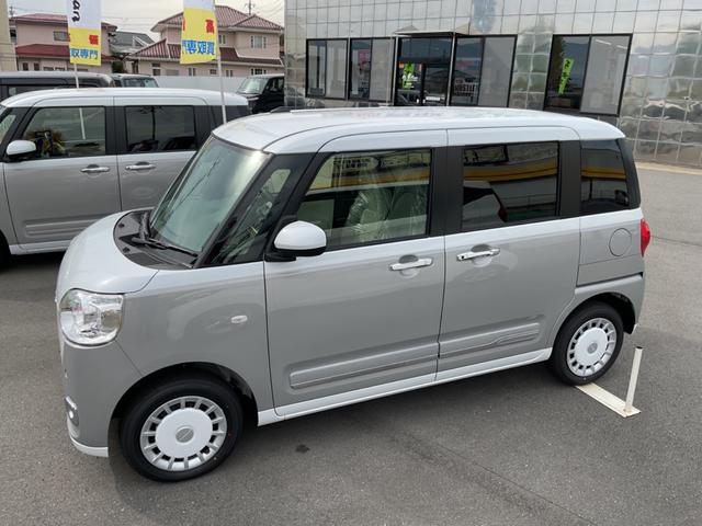 ムーヴキャンバス ストライプスG(8枚目)