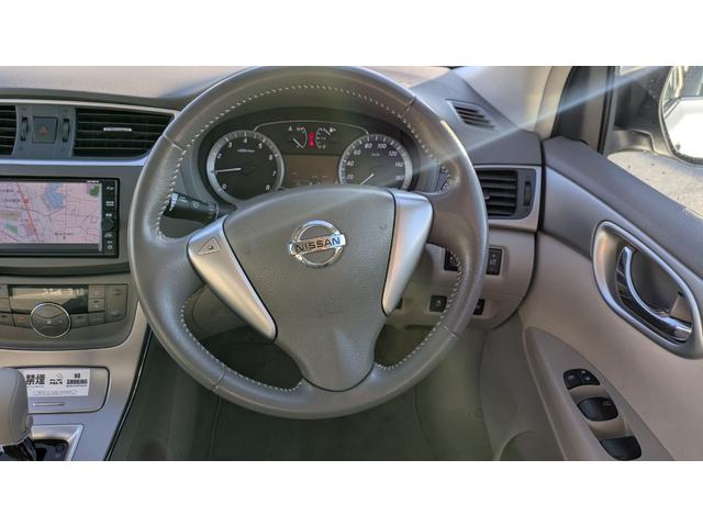 シルフィ X(14枚目)