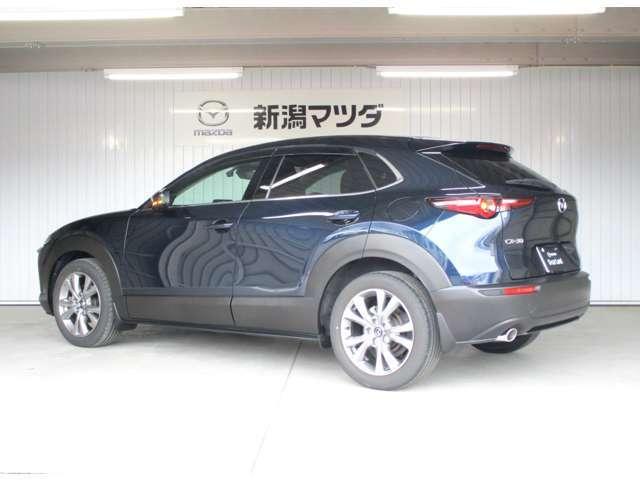 ＣＸ－３０ ２０Ｓ　プロアクティブ　ツーリングセレクション　追従クルコン　全方位カメラ　電動リアゲート　メモリー付きパワーシート　ステアリング＆シートヒーター　オートＬＥＤヘッドライト　ＣＤ／ＤＶＤ再生　スマートキー　ＥＴＣ　障害物センサー（7枚目）