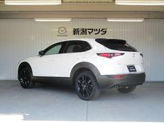 ãءݣ ӡ֥åȡ󥨥ǥ 1200328A30251105W001 7