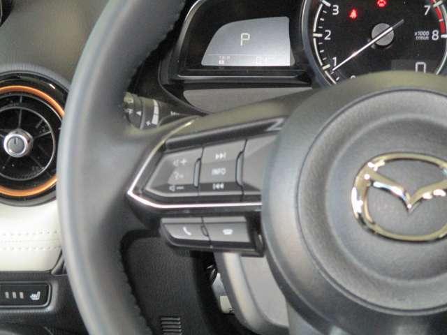 ＣＸ－３ １５Ｓ　スーパー　エッジー　３６０°カメラ　衝突軽減ブレーキ　クルコン　横滑り防止装置　障害物センサー　シートヒーター　ＥＴＣ　ナビ　ＴＶ　ＣＤ　ＤＶＤ　Ｂｌｕｅｔｏｏｔｈ　パワーシート　ＬＥＤヘッドライト　１８インチアルミ（14枚目）