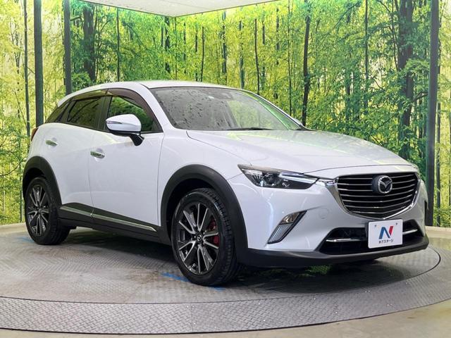 ＣＸ－３ ＸＤ　ツーリング　マツダコネクト　フルセグ　ＤＶＤ　ＣＤ再生　禁煙車　衝突軽減装置　ブラインドスポットＭ　ＬＥＤヘッド　Ｂｌｕｅｔｏｏｔｈ再生　ＥＴＣ　バックカメラ　パドルシフト　クルコン　ターボ　ディーゼル（17枚目）