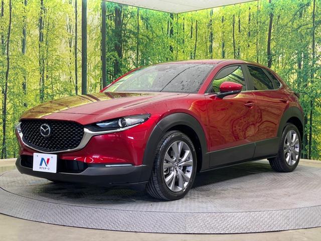 ＣＸ－３０ ２０Ｓ　マツダコネクト　フルセグ　ＤＶＤ　ＣＤ再生　禁煙車　スマートブレーキサポート　全車速追従クルコン　ブラインドスポットＭ　ＬＥＤヘッド　Ｂｌｕｅｔｏｏｔｈ再生　バックカメラ　ＥＴＣ　ドラレコ（21枚目）