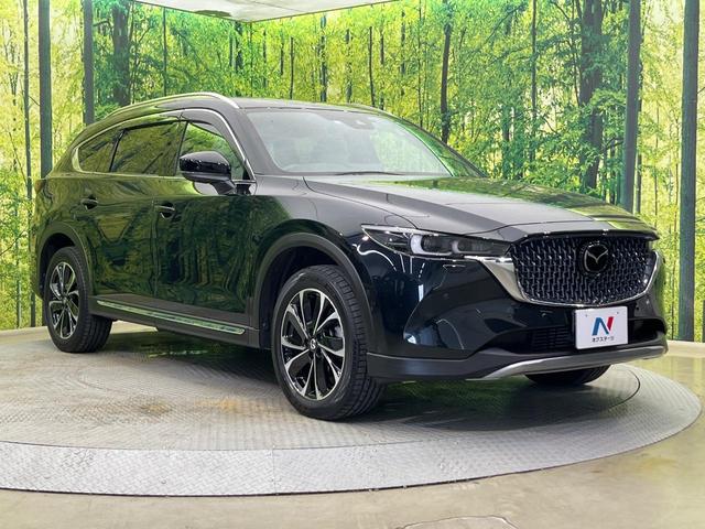 ＣＸ－８ ＸＤ　グランドジャーニー　４ＷＤ　純正１０．２５型ナビ　全周囲カメラ　寒冷地仕様　レーダークルーズ　禁煙車　電動リアゲート　前中列シートヒーター　ハーフレザー　ステアリングヒーター　ドラレコ　コーナーセンサー　おくだけ充電（30枚目）