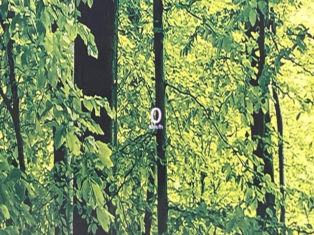 CX-30 20S プロアクティブ ツーリングセレクション 4WD 純正8.8型ナビ 全周囲カメラ BOSEサウンド 衝突被害軽減システム レーダークルーズ 禁煙車 電動リアゲート シートヒーター スマートキー LEDヘッド ETC 純正18インチAW(8枚目)