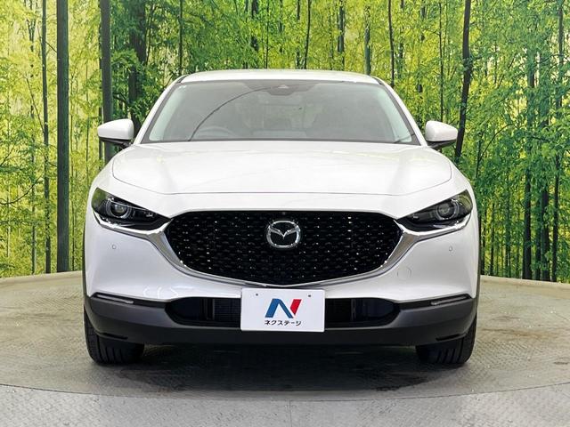 CX-30 20S プロアクティブ ツーリングセレクション 4WD 純正8.8型ナビ 全周囲カメラ BOSEサウンド 衝突被害軽減システム レーダークルーズ 禁煙車 電動リアゲート シートヒーター スマートキー LEDヘッド ETC 純正18インチAW(14枚目)