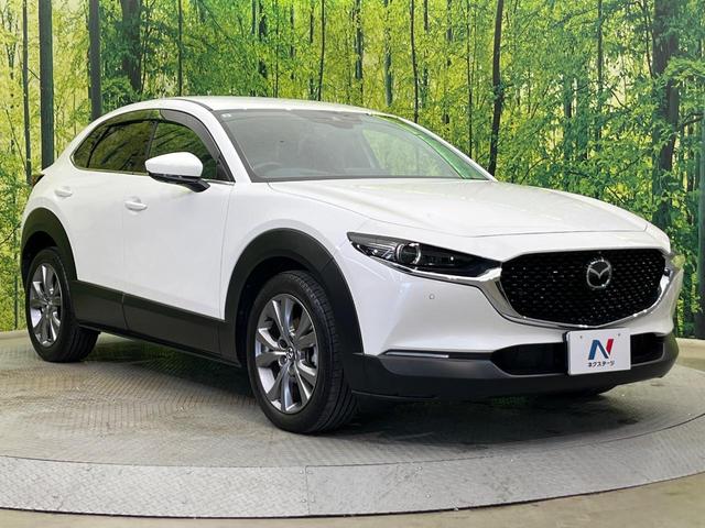 CX-30 20S プロアクティブ ツーリングセレクション 4WD 純正8.8型ナビ 全周囲カメラ BOSEサウンド 衝突被害軽減システム レーダークルーズ 禁煙車 電動リアゲート シートヒーター スマートキー LEDヘッド ETC 純正18インチAW(16枚目)