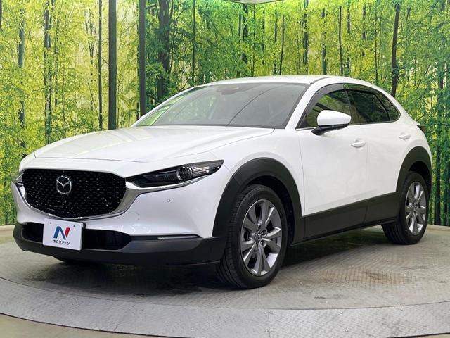 CX-30 20S プロアクティブ ツーリングセレクション 4WD 純正8.8型ナビ 全周囲カメラ BOSEサウンド 衝突被害軽減システム レーダークルーズ 禁煙車 電動リアゲート シートヒーター スマートキー LEDヘッド ETC 純正18インチAW(27枚目)