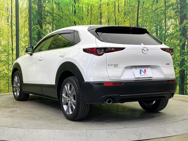 CX-30 20S プロアクティブ ツーリングセレクション 4WD 純正8.8型ナビ 全周囲カメラ BOSEサウンド 衝突被害軽減システム レーダークルーズ 禁煙車 電動リアゲート シートヒーター スマートキー LEDヘッド ETC 純正18インチAW(28枚目)