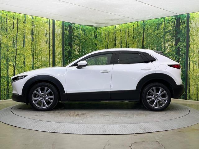 CX-30 20S プロアクティブ ツーリングセレクション 4WD 純正8.8型ナビ 全周囲カメラ BOSEサウンド 衝突被害軽減システム レーダークルーズ 禁煙車 電動リアゲート シートヒーター スマートキー LEDヘッド ETC 純正18インチAW(29枚目)