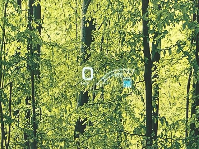 プリウス Ｓセーフティプラス　純正９型ナビ　バックカメラ　衝突被害軽減　レーダークルーズ　ヘッドアップディスプレイ　パーキングアシスト　禁煙車　ドラレコ　コーナーセンサー　スマートキー　ＥＴＣ　ＬＥＤヘッド　純正１５インチＡＷ（7枚目）