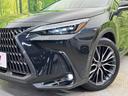 NX350h バージョンL サンルーフ 純正14型ナビ プレミアムサウンド 全周囲カメラ 衝突軽減装置 レーダークルーズ 禁煙車 電動リアゲート シートベンチレーション 黒革シート デジタルインナーミラー 100V電源(12枚目)