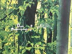 ڥإåɥåץǥץ쥤۸ߤ®٤ԾǥɽǱžΥ饹ơž桢򤺤餵ɬפʾǧǤΤǤȤäƤǰ¿ 7