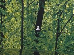 �ڥ��顼�إåɥ��åץǥ����ץ쥤�۸��ߤ�®�٤����Ծ����ǥ�����ɽ���Ǳ�ž�������Υ��饹����ơ����顼�դ��ǻ�ǧ����⤯����ž�������򤺤餵��ɬ�פʾ�����ǧ�Ǥ���ΤǤȤäƤ������ǰ¿��� 6