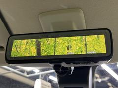 ڥǥ롼ߥ顼۸ʤ礭ʲʪƱԤǸǧŤ餤Ǥ¿餬Ƥξα롼ߥ顼ɽꥢʻ볦ǾγǧǽǤ 7