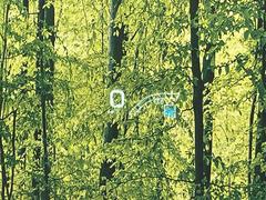 ڥإåɥåץǥץ쥤۸ߤ®٤ԾǥɽǱžΥ饹ơž桢򤺤餵ɬפʾǧǤΤǤȤäƤǰ¿ 7