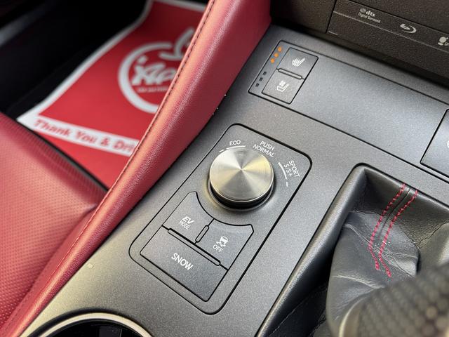 RC RC300h Fスポーツ サンルーフ 純正ナビ フルセグ バックカメラ Silk Blazeリップスポイラー リアディフューザーレザーシート 純正AW ドラレコ ETC LEDヘッドライト ステアリングヒーター BSM(35枚目)