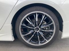 ץꥦУȣ ӥեƥѥåףġ͡ɥ饤֥쥳ꥢ󥹥ʡ 1200379A30251021W001 6