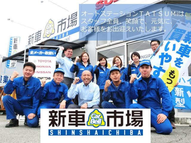 L レーダーブレーキサポート装着車 Bカメラ フルセグ(31枚目)