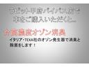 PAリミテッド ワンオーナー・4WD・5速マニュアル・キーレス(78枚目)