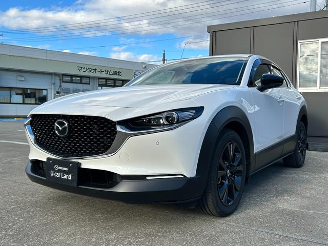 ＣＸ－３０ ＸＤ　ブラックトーンエディション　ディーゼル　４ＷＤ　ワンオーナー車　８．８インチ液晶ディスプレイナビ　クリアランスソナー　パワーシート　シートヒーター　ＬＥＤヘッドライト　アイドリングストップ　１８インチアルミ　ＵＳＢ入力端子（7枚目）