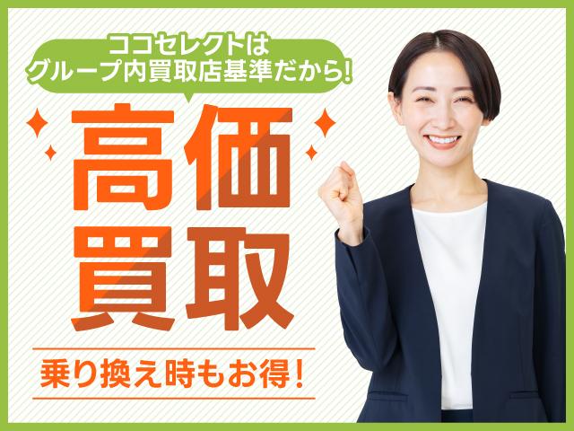 ハスラー ハイブリッドＧ　メモリーナビ　ワンセグ　ＥＴＣ　クリアランスソナー　レーンアシスト　衝突被害軽減システム　オートライト　スマートキー　アイドリングストップ　シートヒーター　ＣＶＴ　盗難防止システム　ＡＢＳ　ＥＳＣ（49枚目）