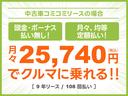 Ｘ　社外ナビ　Ｂｌｕｅｔｏｏｔｈ　全周囲カメラ　バックカメラ　ドライブレコーダー　ＥＴＣ　片側電動スライドドア　シートヒーター　衝突被害軽減ブレーキ　コーナーセンサー　アイドリングストップ　ＵＳＢ（48枚目）