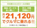 Ｇ　リミテッドＳＡＩＩＩ　純正ナビ　Ｂｌｕｅｔｏｏｔｈ　バックカメラ　ドライブレコーダー　シートヒーター　エンジンスターター　衝突被害軽減ブレーキ　コーナーセンサー　アイドリングストップ　ＥＳＣ　ＵＳＢ（49枚目）
