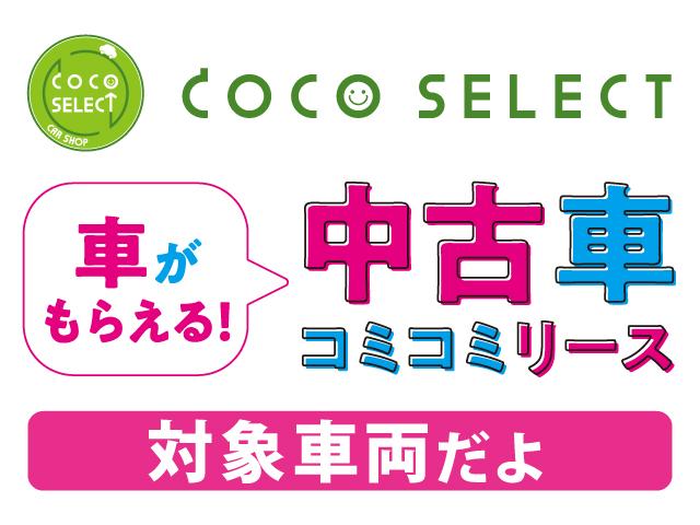 スタンダード・L Bカメラ HIDヘッド ETC ESC(3枚目)