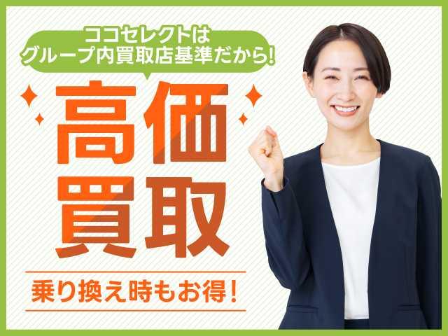 アルトラパン X Bluetooth 純正ナビ バックカメラ シートヒーター 衝突被害軽減ブレーキ コーナーセンサー HIDヘッドライト スマートキー 電動格納ミラー アイドリングストップ(44枚目)