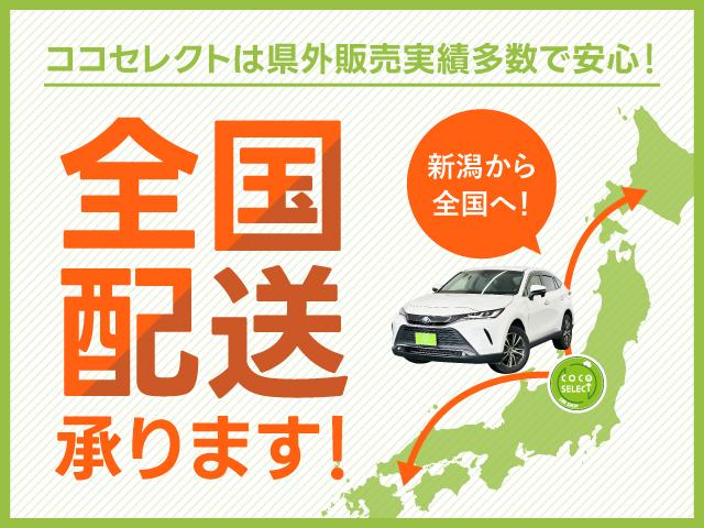 ジューク １６ＧＴ　ＦＯＵＲ　プレミアムホワイトパッケージ　４ＷＤ　ターボ　バックモニター　ＥＴＣ　純正ＨＤＤナビ　ＣＤ　ＤＶＤ　フルセグＴＶ　ハーフレザーシート　シートヒーター　寒冷地仕様　盗難防止装置　フォグ　オートライト（52枚目）