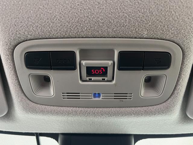 �t�����g���[�������v