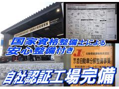  ̡λξ¦饤ɥɥ쥹ɥ󥰥ȥå 1200512A30240714W002 7