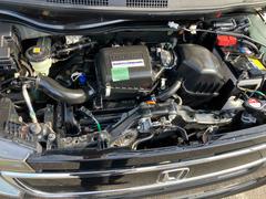 Ρݣףǣ ǥեȥѥå֥롼ȥХå˥󥻥ȥҡ 1200512A30251116W001 2