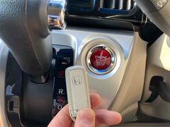 Ρݣףǣ ǥեȥѥå֥롼ȥХå˥󥻥ȥҡ 1200512A30251116W001 4