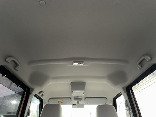 �����̂��q�l���劽�}�ł��I���O�[�Ԃ̎��т������������܂��̂ł����S����������