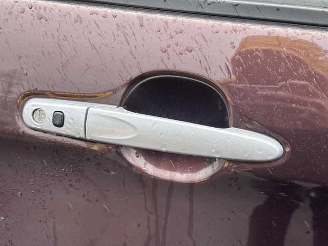 �����̂��q�l���劽�}�ł��I���O�[�Ԃ̎��т������������܂��̂ł����S����������