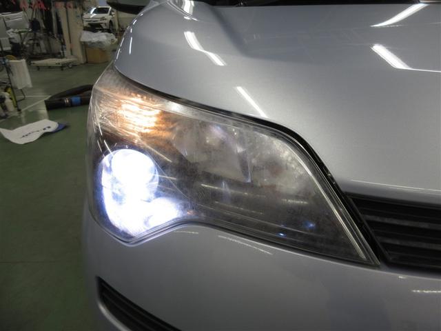 スペイド Ｙ（7枚目）