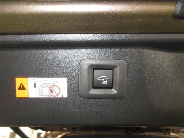 �X�C�b�`��Ńo�b�N�h�A���A�I�[�g�S�J�E�S�E�ꎞ��~���ł���A�p���[�o�b�N�h�A���t���Ă��܂��B