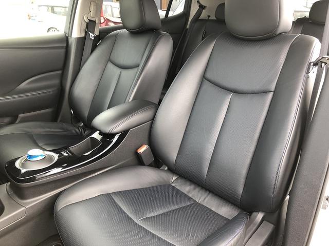G(30kwh) オプションレザーシート フルセグナビ バックカメラ LEDヘッドランプ 純正17インチAW(36枚目)