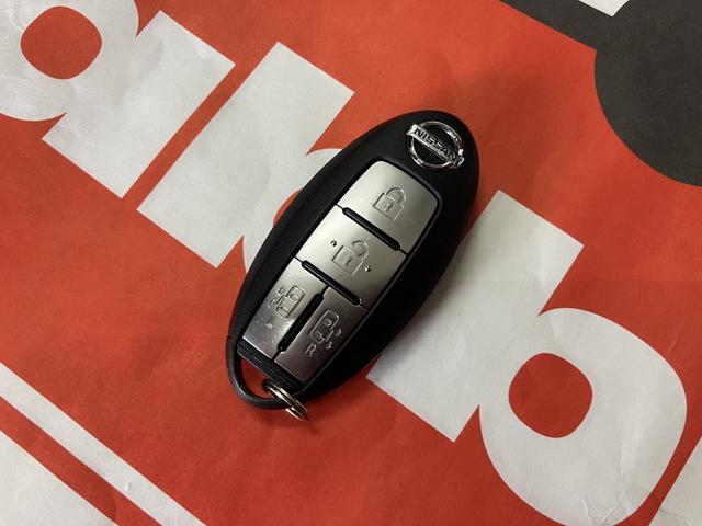 エルグランド ２５０ハイウェイスタープレミアム　後期型　ツインサンルーフ　両側パワスラ　メーカーナビ　後席エンタメ　アラウンドビュー　カーウイングスナビゲーションシステム／リアエンターテイメントシステムセット　フロントスポイラー　ドラレコ（24枚目）