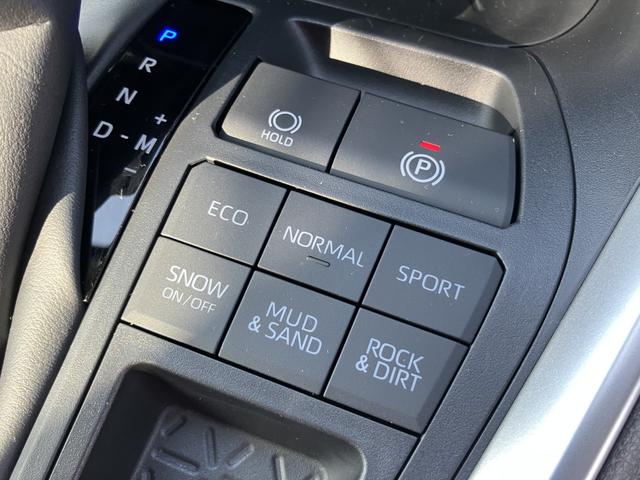 ＲＡＶ４ Ｘ　オプション１８ＡＷ　フルセグＴＶ　バックカメラ　セーフティセンス　ＬＥＤヘッドランプ　前後ドライブレコーダー　ルーフレール（12枚目）