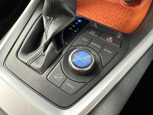 RAV4 アドベンチャー パワーバックドア 9インチフルセグナビ バックカメラ セーフティセンス レーダークルーズコントロール ドライブレコーダー エンジンスターター 純正19インチアルミ LEDヘッドランプ(10枚目)
