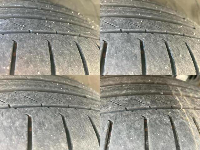 �u���̎Ԃ̎ʐ^�������ƌ������v�u��Ԃ��C�ɂȂ�v�u���̑����͂��Ă���H�v�ǂ�ȏ����ȋ^��ł����C�y�ɂ��₢���킹���������I