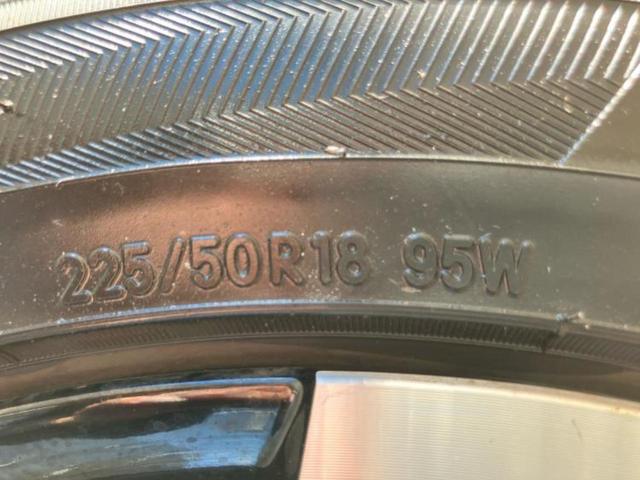 �u���̎Ԃ̎ʐ^�������ƌ������v�u��Ԃ��C�ɂȂ�v�u���̑����͂��Ă���H�v�ǂ�ȏ����ȋ^��ł����C�y�ɂ��₢���킹���������I