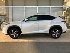 �ףţã��ңӤκ߸˥ڡ������������������ˤ��꤬�Ȥ��������ޤ����ףţã��ңӤϡ֤��������פ��åȡ��ˤ����ͤΥ����饤�դ����Ϥǥ��ݡ��Ȥ������ޤ��� 2